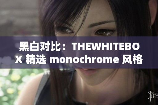 黑白对比：THEWHITEBOX 精选 monochrome 风格