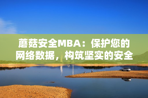 蘑菇安全MBA：保护您的网络数据，构筑坚实的安全防线