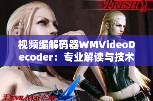 视频编解码器WMVideoDecoder：专业解读与技术应用