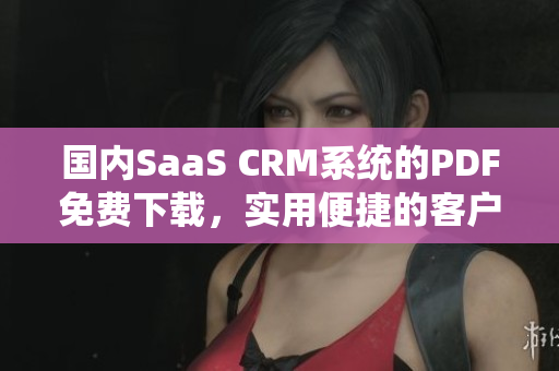 国内SaaS CRM系统的PDF免费下载，实用便捷的客户关系管理解决方案