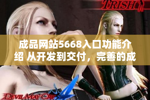 成品网站5668入口功能介绍 从开发到交付，完善的成品网站解决方案展示