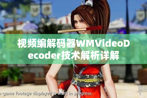 视频编解码器WMVideoDecoder技术解析详解