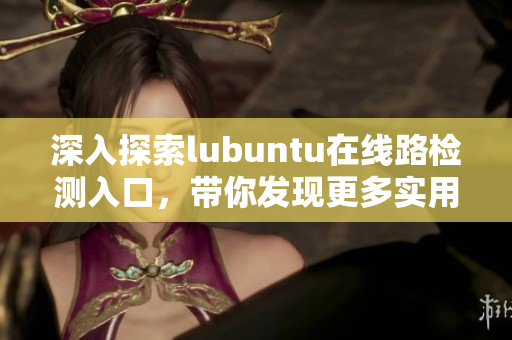 深入探索lubuntu在线路检测入口，带你发现更多实用技巧