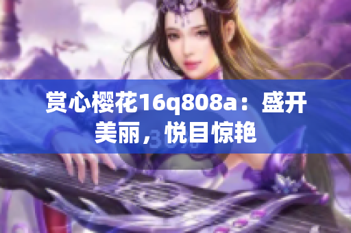 赏心樱花16q808a：盛开美丽，悦目惊艳