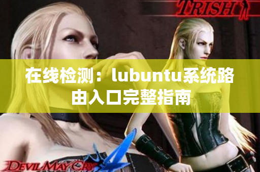 在线检测：lubuntu系统路由入口完整指南